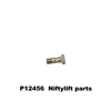 P12456 BANJO BOLT ASSY. 2MM FIXED