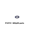 P12731 WASHER - NITROTEC 