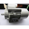 P13848 MOTOR 1.5KW/240V 