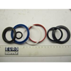 P18550 SEAL KIT FOR P17989/P18323 CYLINDER 