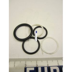 3110445T Sealkit NCS06/3 (P350)