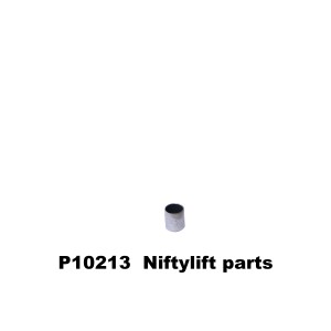 P10213 BUS 16x20 