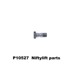 P10527 -BANJO ASSY (0.8mm)