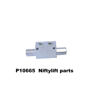 P10665 VALVE CHECK