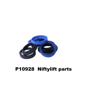 P20970 SEAL KIT - P10662 CYLINDER POST 04/96