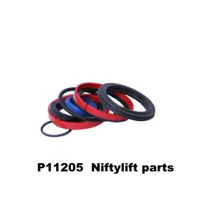 P11205 SEAL KIT - V160 (170 INTERNAL END CAP)