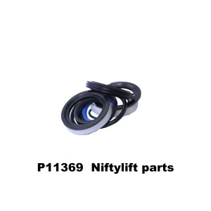 P11369 SEAL KIT FOR P11255 & P11256 RAMS 