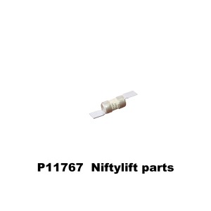 P11767 FUSE, 16A, 240V AC