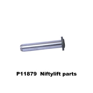 P11879 PIN - PIVOT (25 X 134 U/H) 
