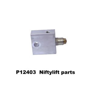 P12403 VALVE - CHECK BXP15588-02