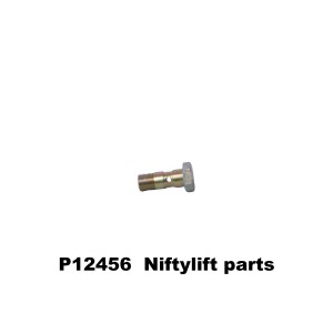 P12456 BANJO BOLT ASSY. 2MM FIXED