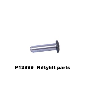 P12899 PIN PIVOT (25x95 UH) - ZIE OOK P13157