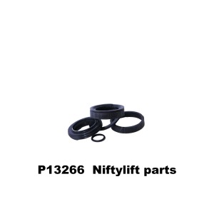 P13266 SEAL KIT - CYLINDER P12132/P15537