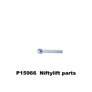 P15966 SWING BOLT (FI)