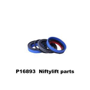 P16893 SEAL KIT -170 JACK RAM (P16589) 45MM ROD