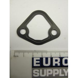 P16945 Packing Gasket