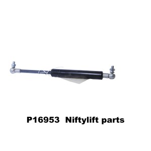 P16953 STRUT GAS