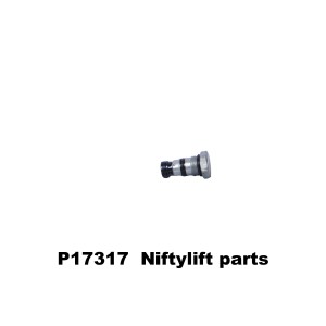 P17317 VALVE - CHECK 4CK301S3