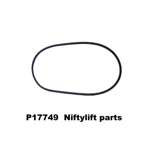 P17749 O RING - 9 LTR TANK / BACK PLATE