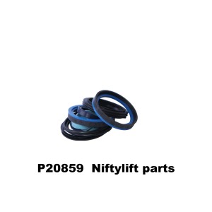 P20859 SEAL KIT - TD120T MOTOR