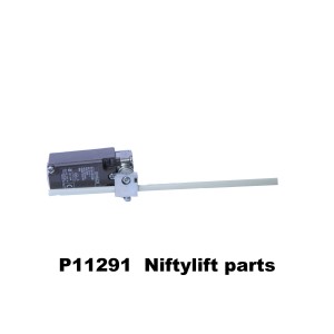 P22920 New Style Wand Switch 