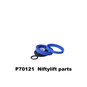 P70121 SEAL KIT - LIFT CYLINDER 