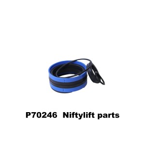 P70246 SEAL KIT - 170 CYLINDER 125MM END CAP 